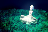 【配布】草むら２