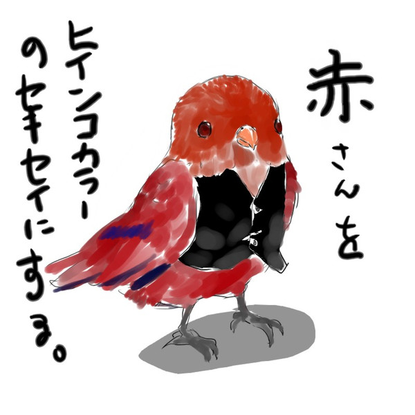 赤さんインコ