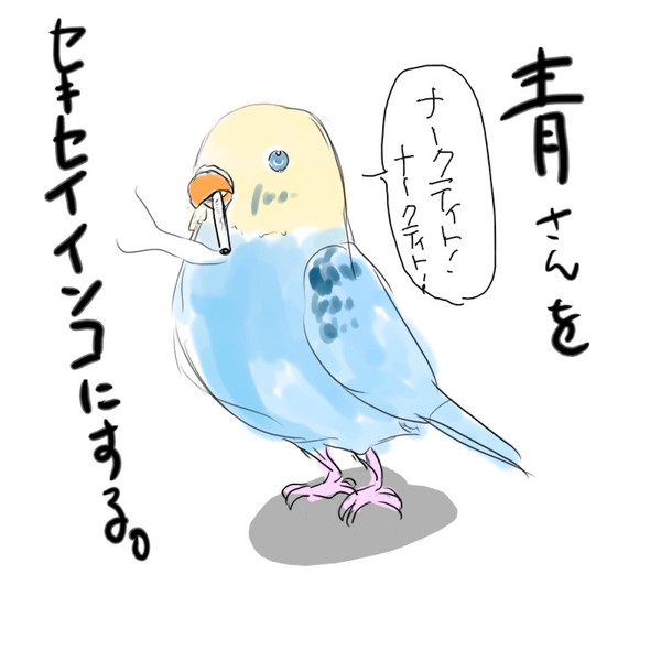 青さんインコ ぴーさん さんのイラスト ニコニコ静画 イラスト