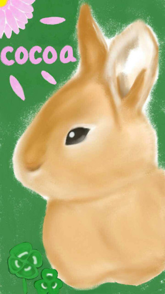 スマホでお絵描き ネザーランド ドワーフ リクエスト Ban さんのイラスト ニコニコ静画 イラスト
