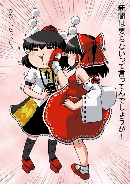 きめぇスポイラーvs博麗霊夢 ぽいにくす さんのイラスト ニコニコ静画 イラスト