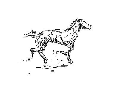 馬の動きのアニメーション