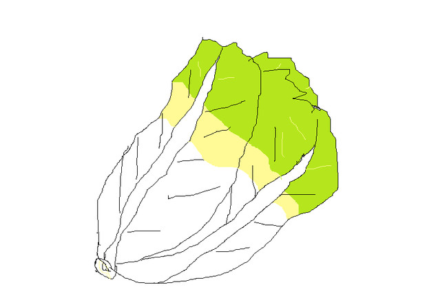白菜 キムチおにぎり さんのイラスト ニコニコ静画 イラスト