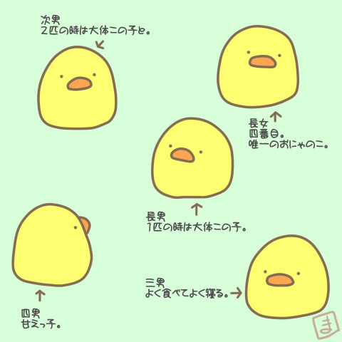 ゆうべかんがえたひよこのせってい ｍａｏｈ さんのイラスト ニコニコ静画 イラスト
