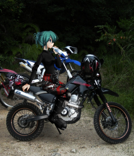 俺のバイクにミクさんが乗ってくれた件 なつき さんのイラスト ニコニコ静画 イラスト