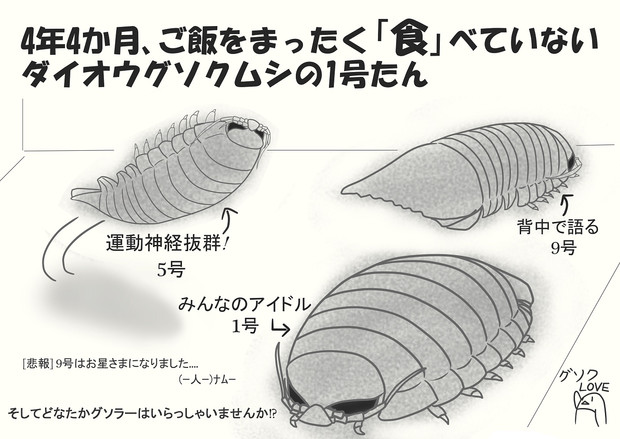 グソクたん きあら さんのイラスト ニコニコ静画 イラスト