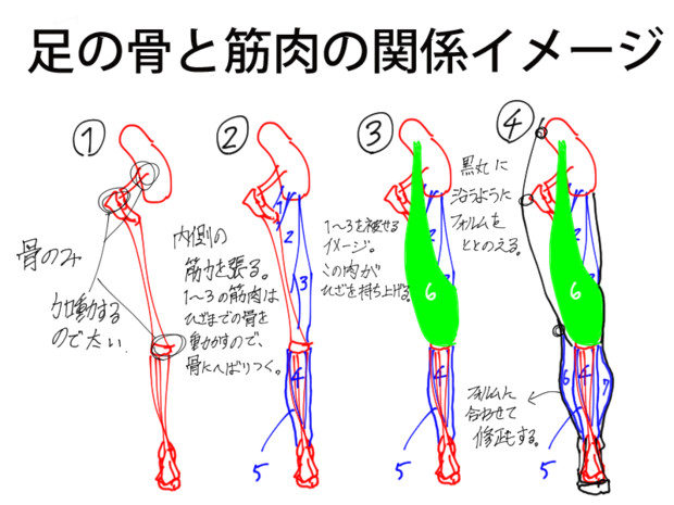 足と筋肉のイメージ