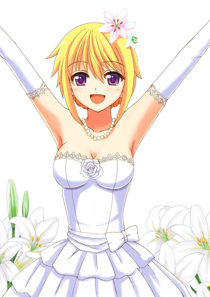 シャルロット デュノア Wataru さんのイラスト ニコニコ静画 イラスト