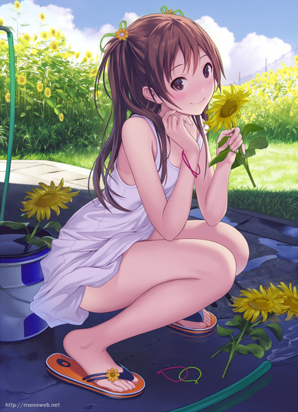 ひまわりの夏だより マナカッコワライ さんのイラスト ニコニコ静画 イラスト