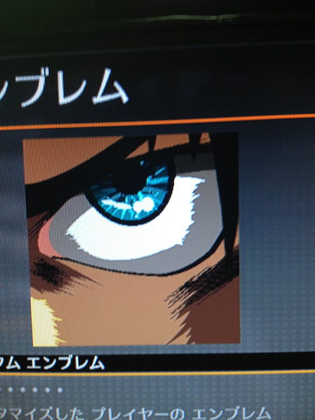 Cod Bo2 エンブレム エレン Yuuri さんのイラスト ニコニコ静画 イラスト