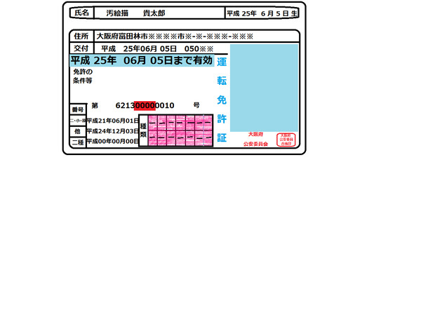 ペイントで免許