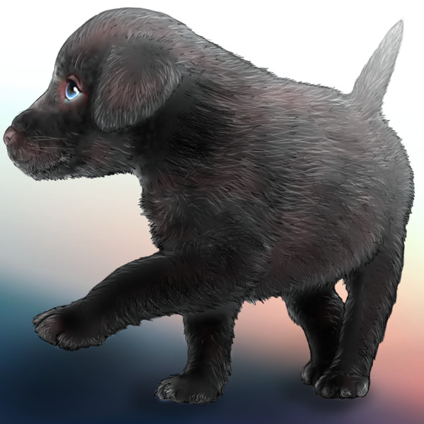 黒い 子犬 さとみ さんのイラスト ニコニコ静画 イラスト