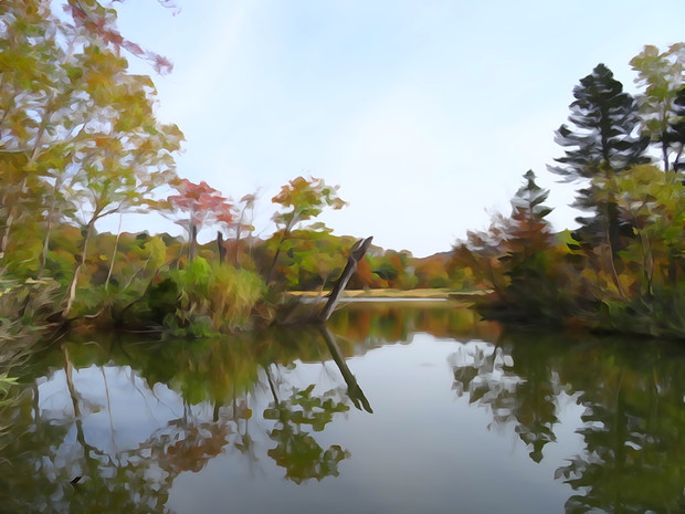 大沼の紅葉　水面反射