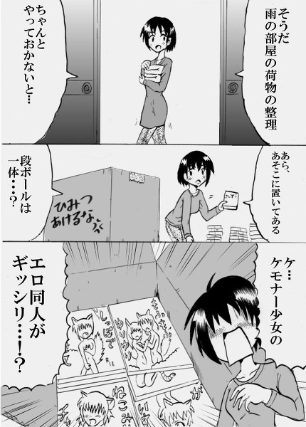 (おおかみこども)雨の部屋の秘密