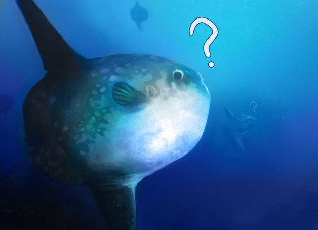 マンボウ Yilx さんのイラスト ニコニコ静画 イラスト