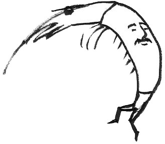 えびgif ひじきん さんのイラスト ニコニコ静画 イラスト