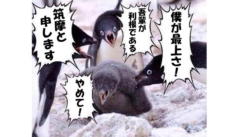 ペンギンコラ Nicosub静画