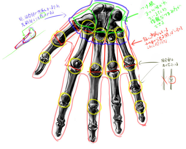 手の描き方【初心者向け/番外編】