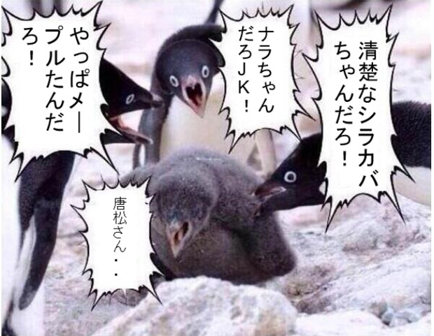 ペンギンたちが薪これを見たようです・・・