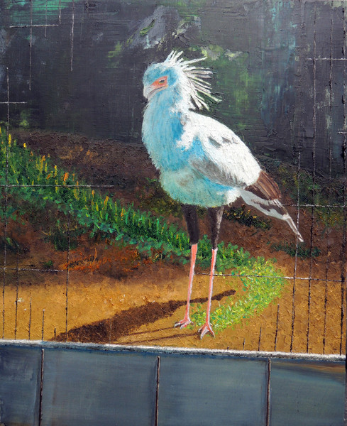 課題 上野動物園のスケッチ演習をもとに描きなさい Quar ｶﾙ さんのイラスト ニコニコ静画 イラスト