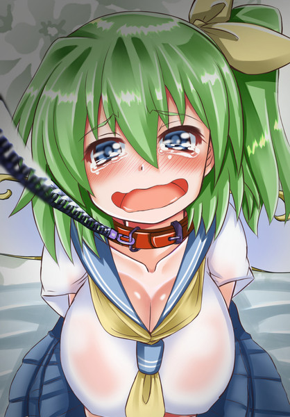 セーラー大ちゃん えび１９３ さんのイラスト ニコニコ静画 イラスト
