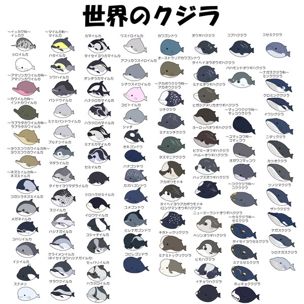 世界の鯨類 ちびキャラ化計画 とらふざめ さんのイラスト ニコニコ静画 イラスト