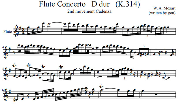 【モーツァルト】Fl協奏曲ニ長調_第2楽章【重音テト】　Cadenza