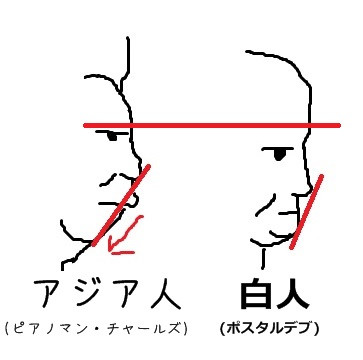 白人と日本人の横顔 彦壱 さんのイラスト ニコニコ静画 イラスト