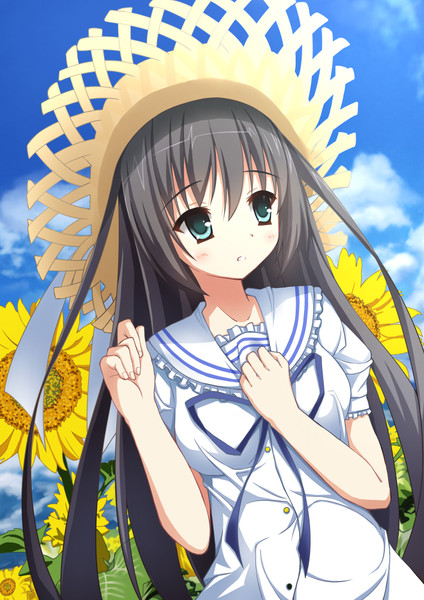 上坂茅羽耶 Yatumi さんのイラスト ニコニコ静画 イラスト