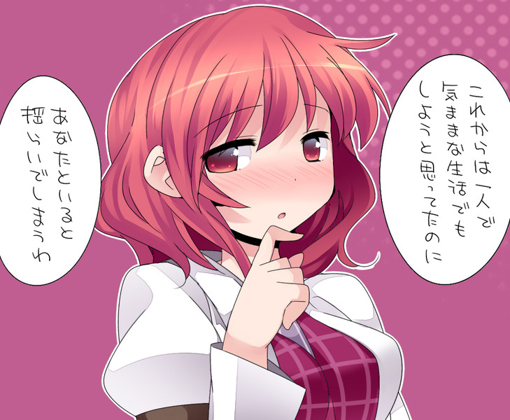 堀川雷鼓 Nicosub静画