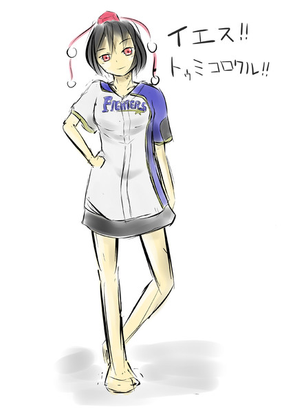 落書き日ハム文ちゃん おおたき さんのイラスト ニコニコ静画 イラスト