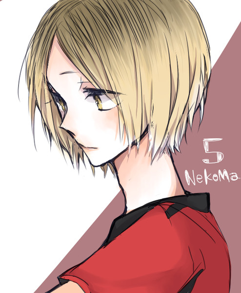 けんま ニコニコ静画 イラスト