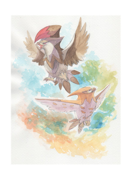 ムクホークとファイアロー 水彩 うっちゃり太郎 さんのイラスト ニコニコ静画 イラスト