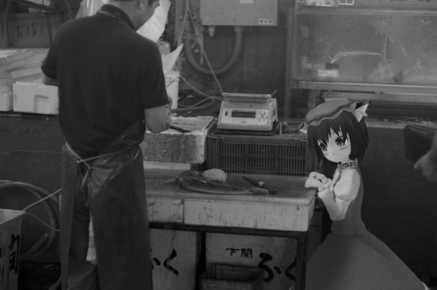 橙 築地魚市場にて ゆん さんのイラスト ニコニコ静画 イラスト