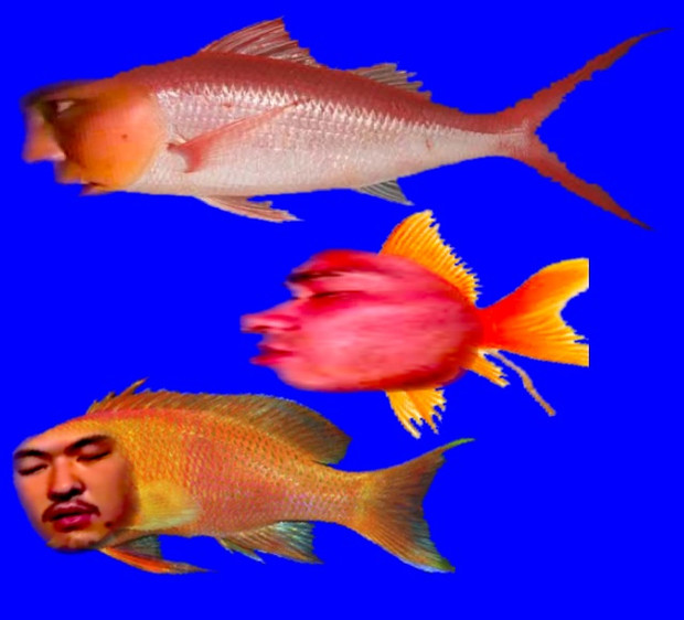 迫真水族館部.BB / 金令オ◟ さんのイラスト - ニコニコ静画(イラスト)