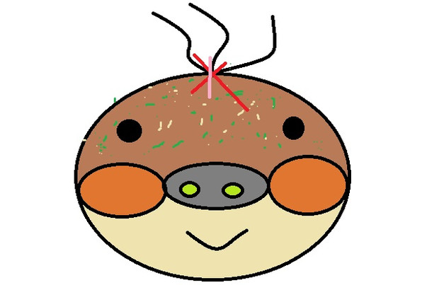 たこ焼き君 W ニコニコ静画 イラスト