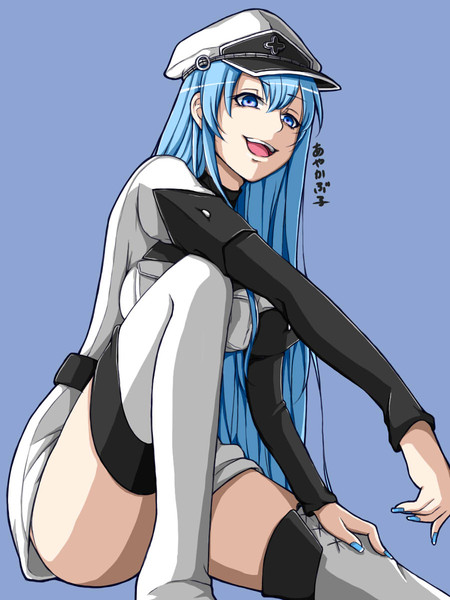 エスデス ニコニコ静画 イラスト