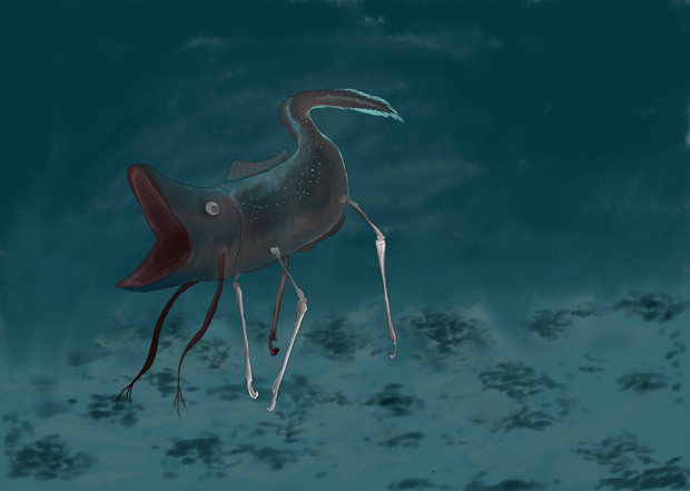 深海魚みたいなやつ Kd さんのイラスト ニコニコ静画 イラスト