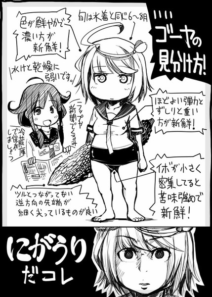 艦これ ゴーヤ豆知識 事実 坂崎ふれでぃ さんのイラスト ニコニコ静画 イラスト