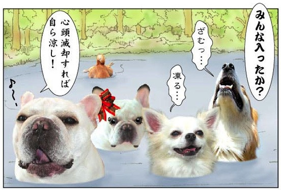 寒中水泳犬 コラージュ Niboshi 0304 さんのイラスト ニコニコ静画 イラスト