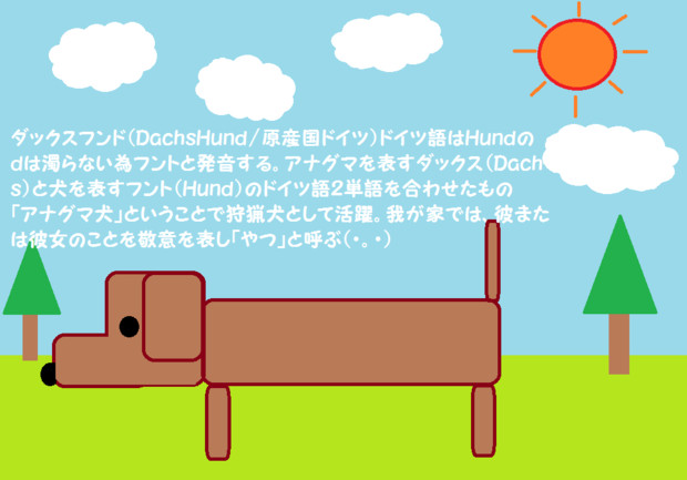 好きな犬 ダックスフンド