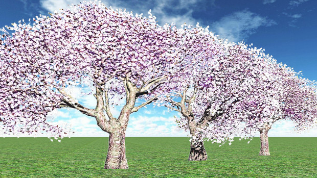 再配布 Mmdアクセサリ配布 桜の木みたいな L4 Ver1 3 怪獣対若大将p さんのイラスト ニコニコ静画 イラスト