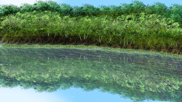 法面工事して植樹した後の公園の湖みたいなフリー素材 房太郎 ふさたろう さんのイラスト ニコニコ静画 イラスト