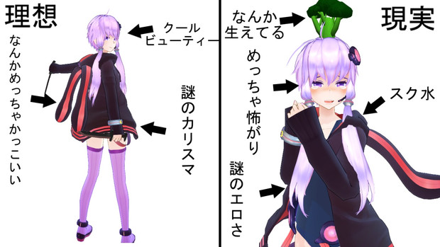 私の理想と現実 どるさん さんのイラスト ニコニコ静画 イラスト