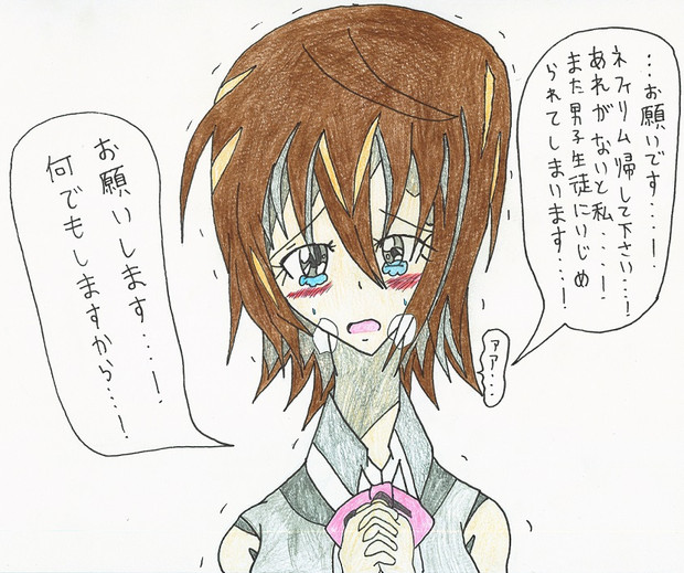 ネフィリム返してください 何でもしますから ん ライトニング さんのイラスト ニコニコ静画 イラスト