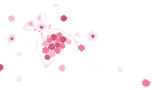 金平糖と桜_ver1.1