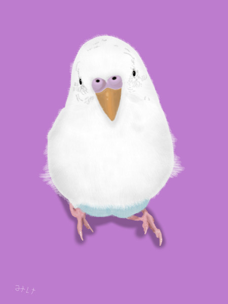 うちのインコのらくがき 霧島みけ さんのイラスト ニコニコ静画 イラスト