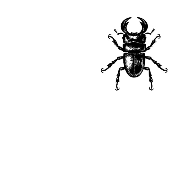 オオクワガタ Diyゴリラ さんのイラスト ニコニコ静画 イラスト