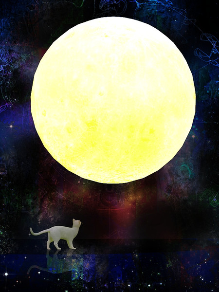 月と猫 改訂版 T Nanase さんのイラスト ニコニコ静画 イラスト