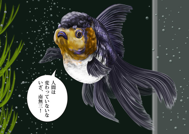 青文魚 (羽衣)